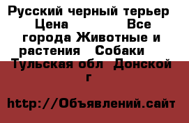 Русский черный терьер › Цена ­ 35 000 - Все города Животные и растения » Собаки   . Тульская обл.,Донской г.